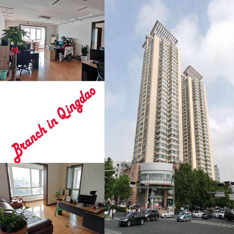 RO Water Purification System with 1000lph EDI System