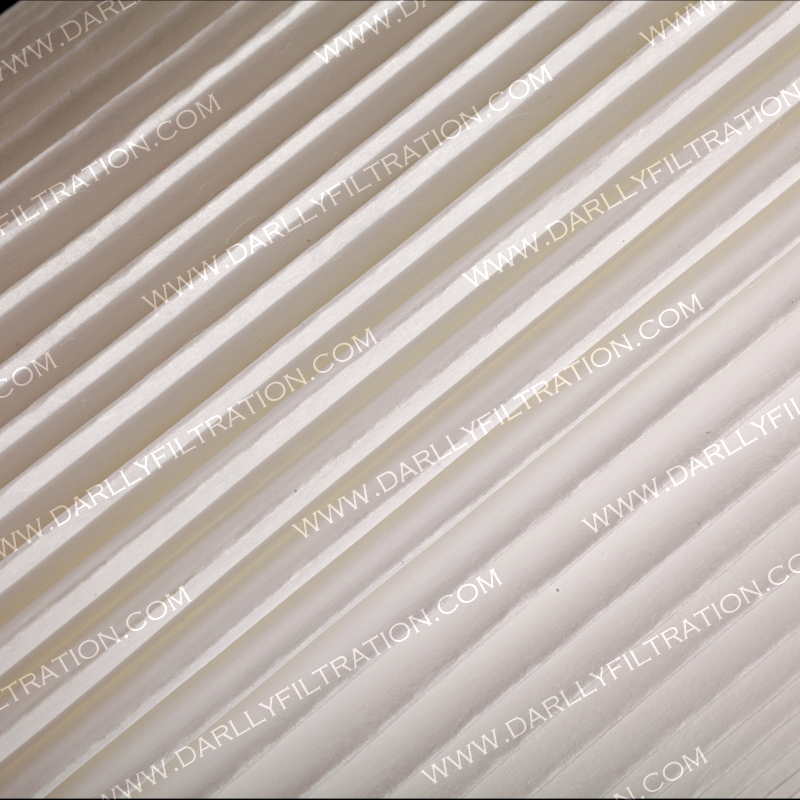 Swimming Pool SPA Water Treatment PP Pleated Cartridge Filter with 1um/5um/10um/ 20um