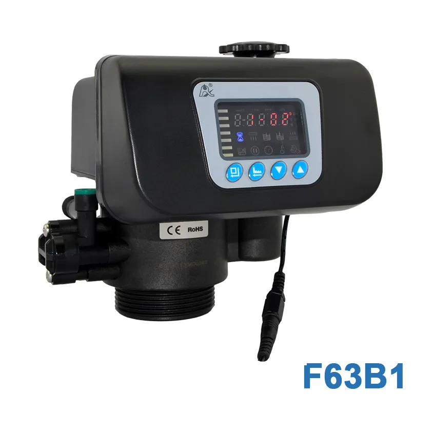 Water Treatment System Ion Exchange Resin Runxin Control Valve